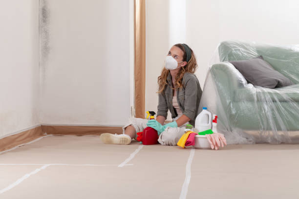 Reliable Black Mold Remediation contractor in Mantua, VA by 24 Hour Mold Removal